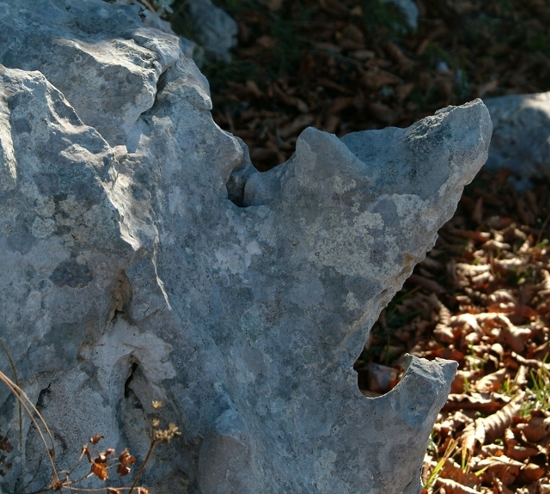 Sculture naturali